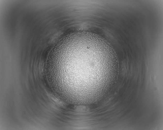 X0000077990230200611101736