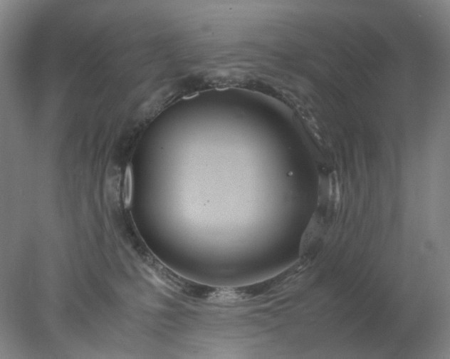 X0000077990231200611101736