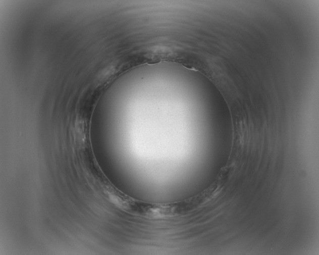 X0000077990232200611101736