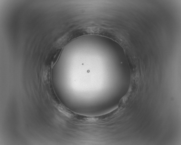 X0000077990233200611101736