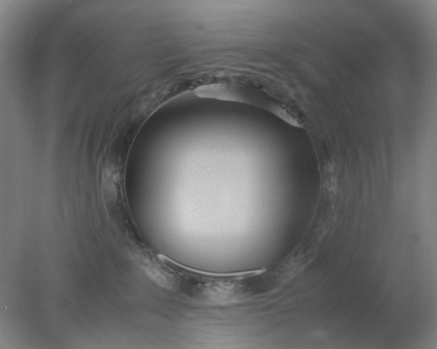 X0000077990235200611101736