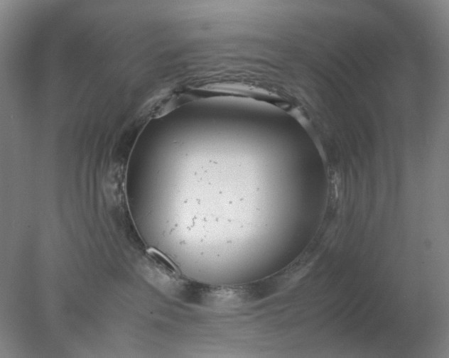 X0000077990237200611101736