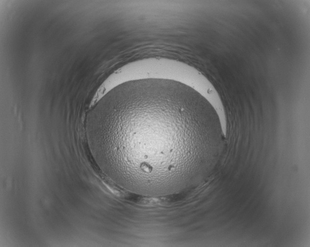 X0000077990239200611101736