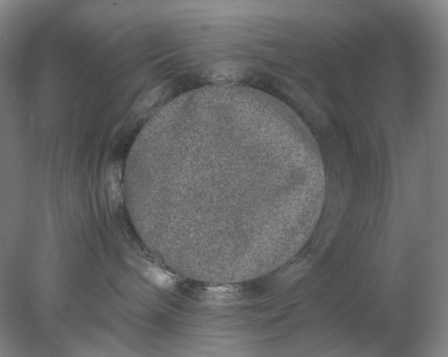 X0000077990240200611101736