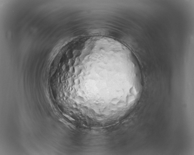 X0000077990241200611101735