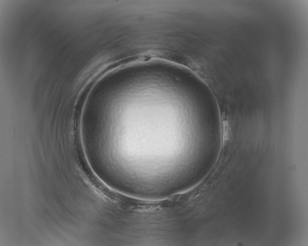 X0000077990243200611101735