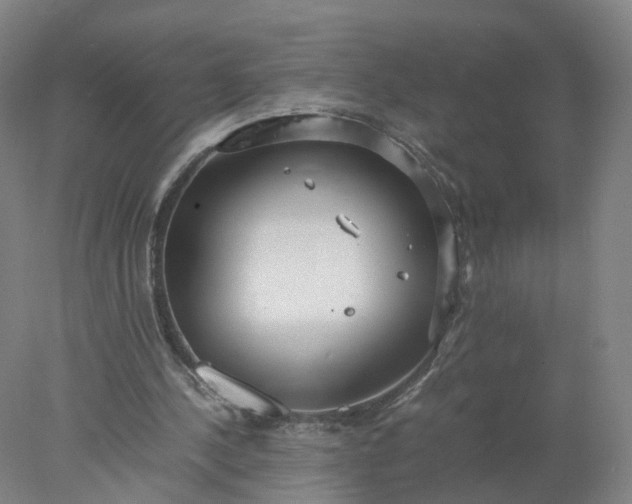 X0000077990244200611101735