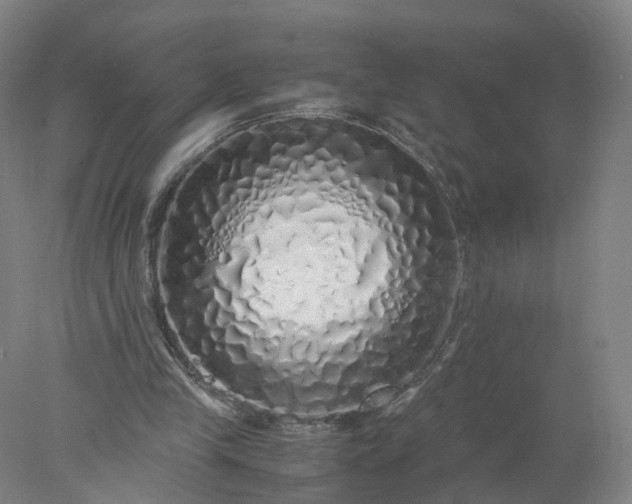 X0000077990245200611101735