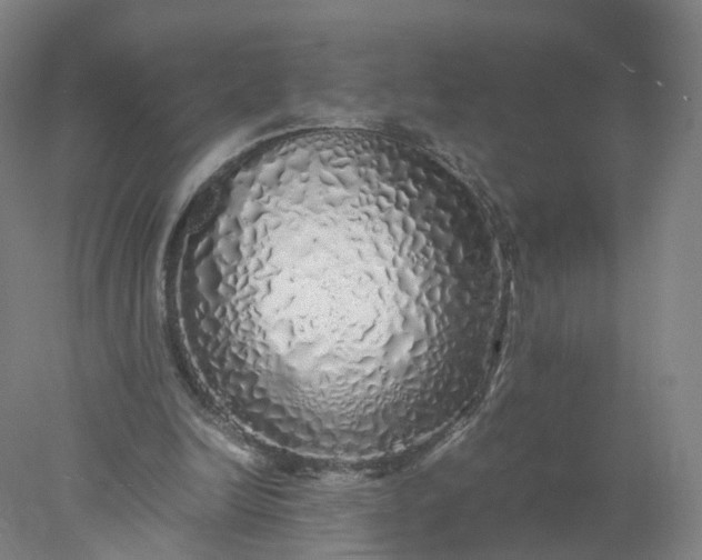 X0000077990246200611101735