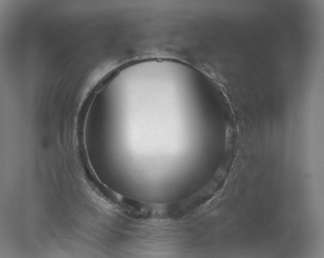 X0000077990248200611101735