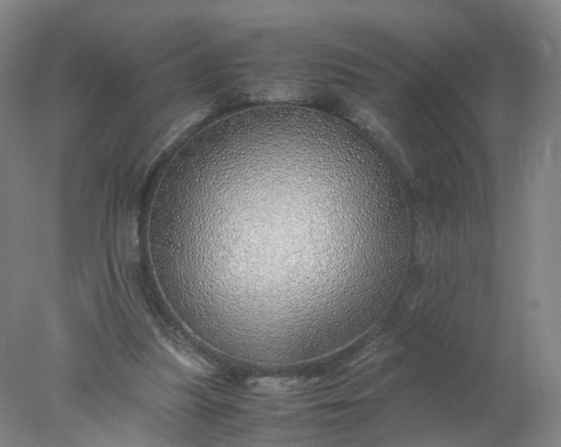 X0000077990251200611101736