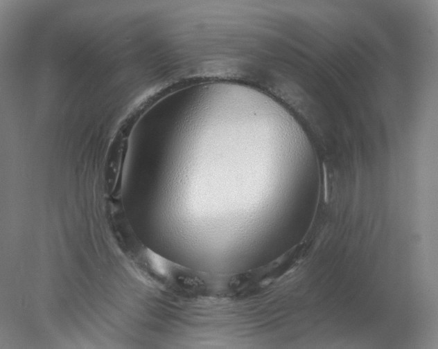 X0000077990252200611101736