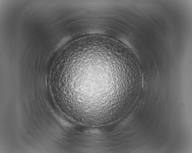 X0000077990253200611101736