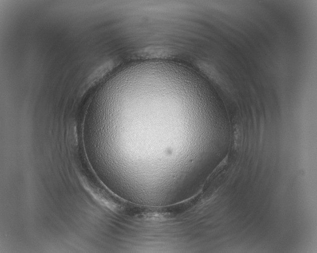 X0000077990254200611101736