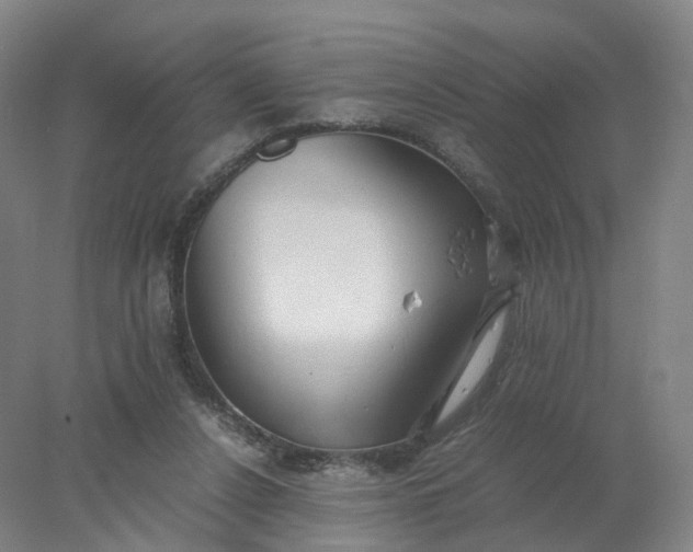 X0000077990256200611101736