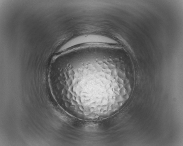 X0000077990257200611101736