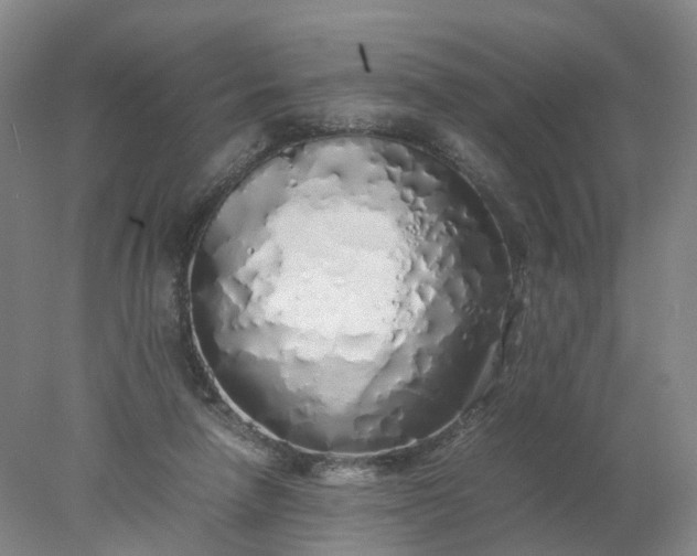 X0000077990258200611101736