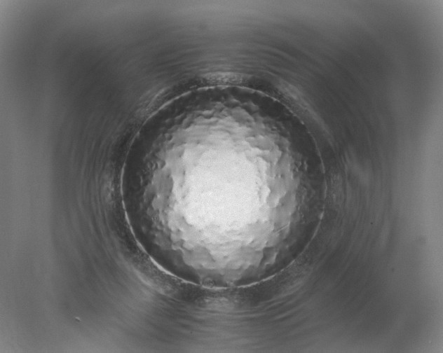 X0000077990259200611101736