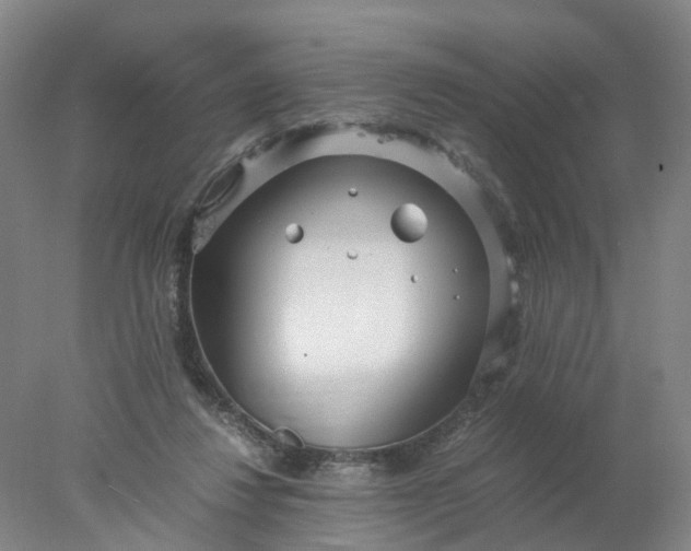 X0000077990260200611101736