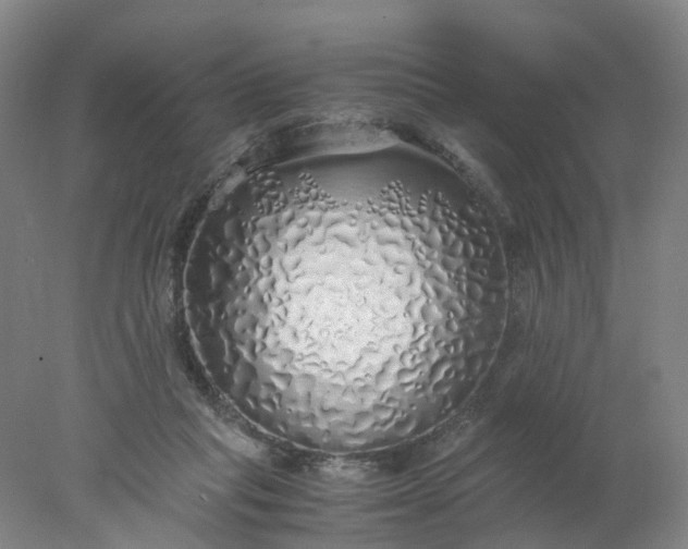 X0000077990261200611101736