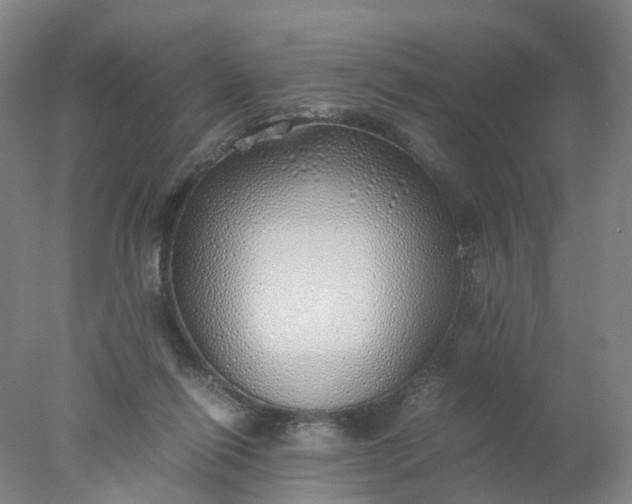 X0000077990262200611101736