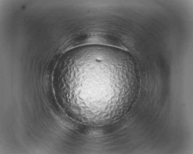 X0000077990263200611101736