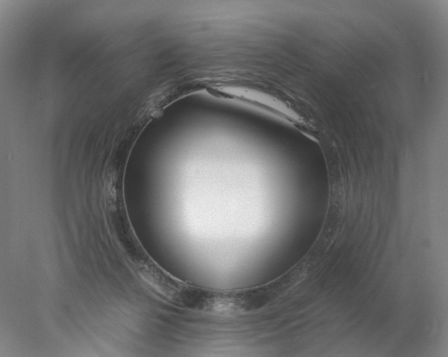 X0000077990264200611101736