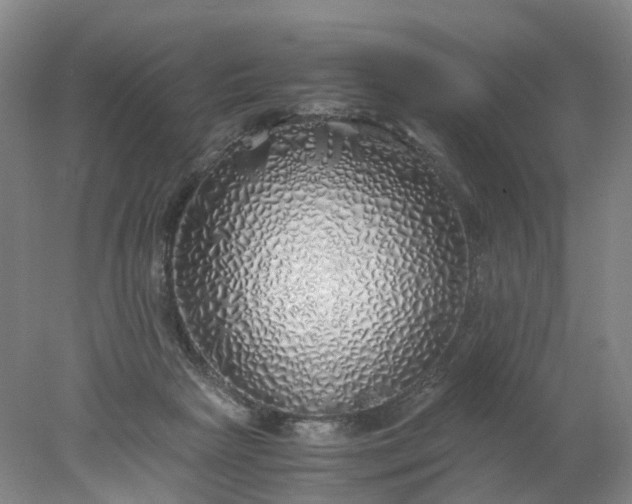 X0000077990265200611101736