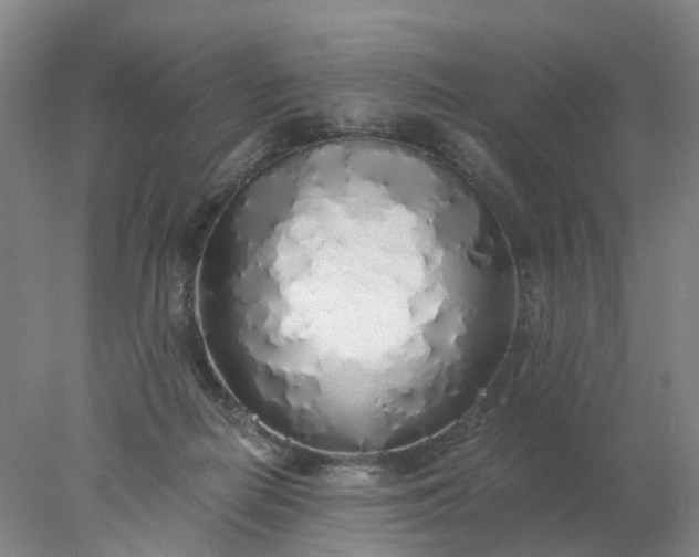 X0000077990266200611101736