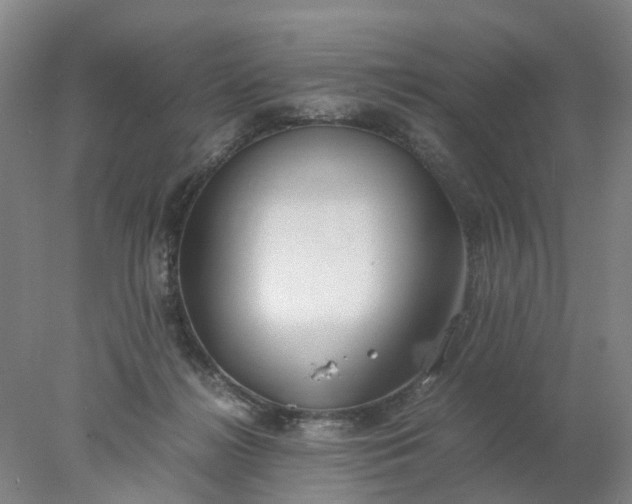 X0000077990268200611101736