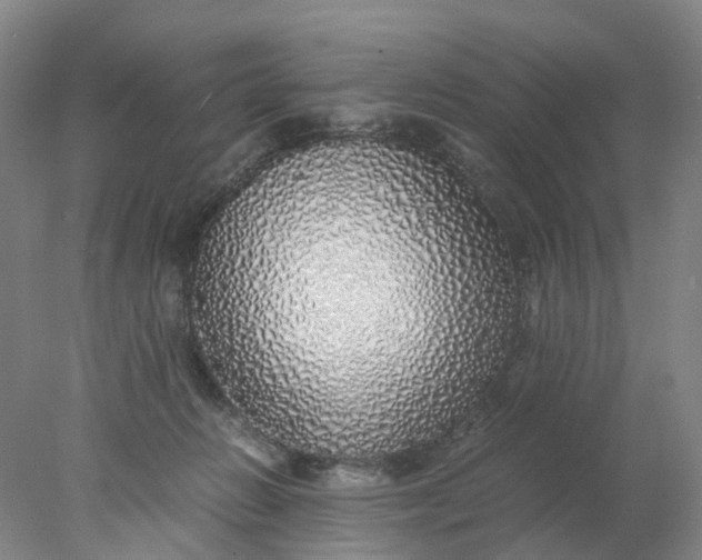 X0000077990270200611101736