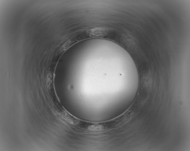 X0000077990271200611101736