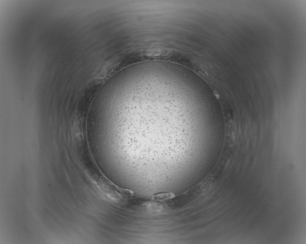 X0000077990272200611101736