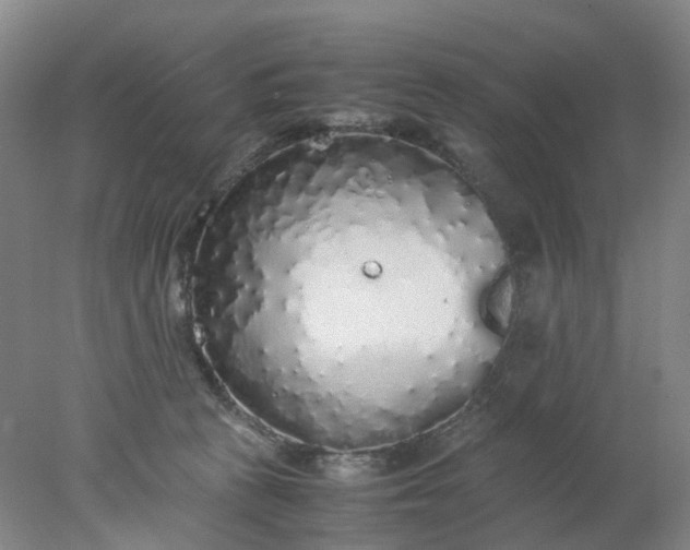 X0000077990273200611101736