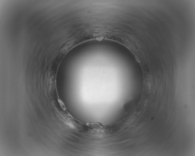 X0000077990276200611101736