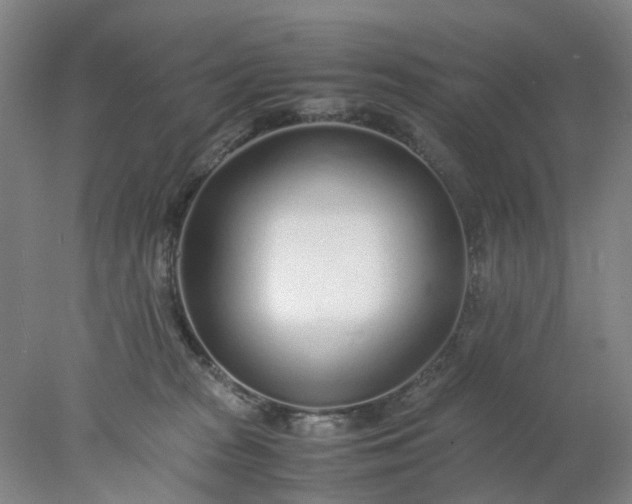 X0000077990277200611101736