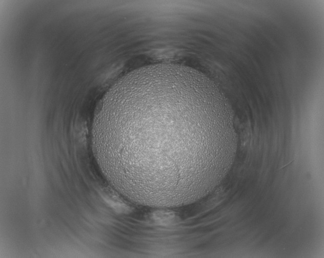 X0000077990279200611101736