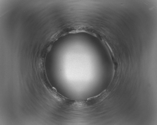 X0000077990280200611101736