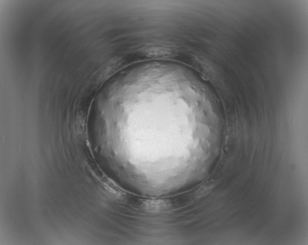 X0000077990281200611101736