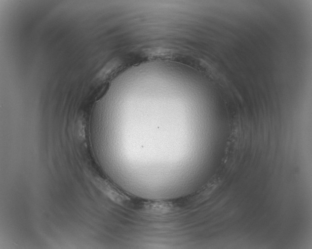 X0000077990282200611101736