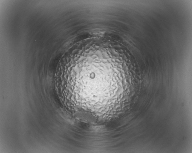 X0000077990283200611101736