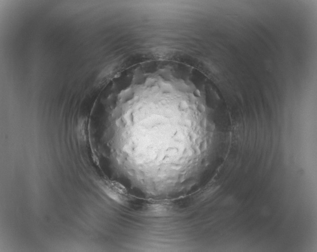 X0000077990286200611101736