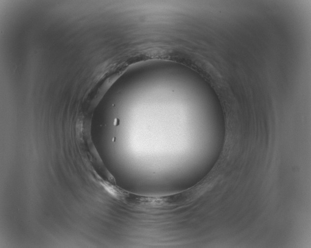 X0000077990288200611101736