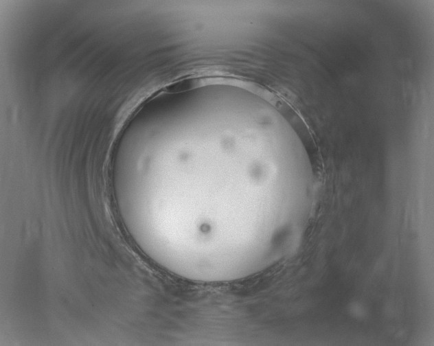 X0000077990289200611101735