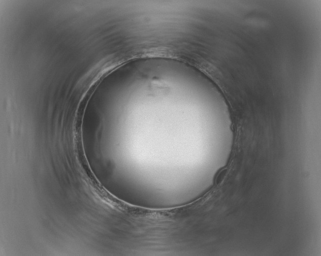 X0000077990290200611101735