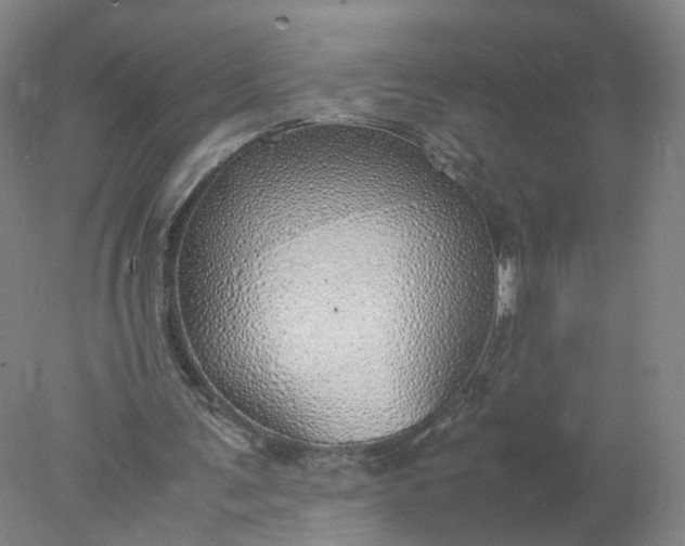 X0000077990291200611101735