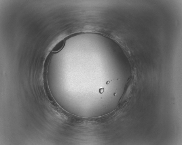 X0000077990292200611101735