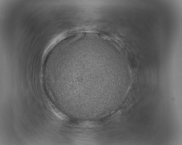 X0000077990293200611101735