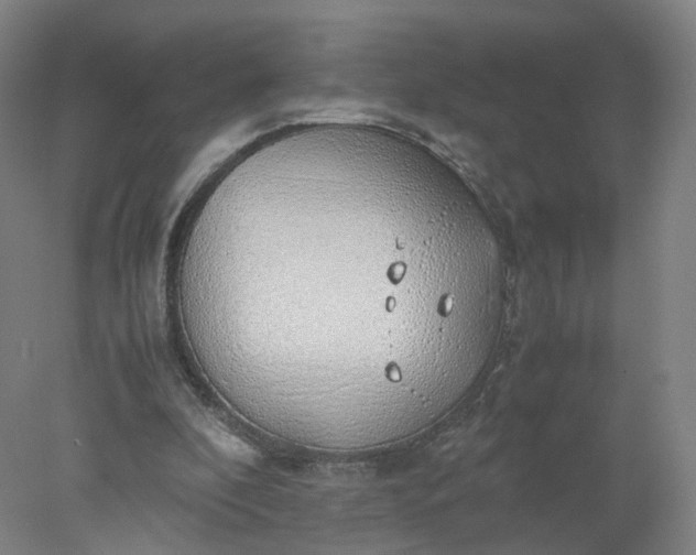 X0000077990296200611101735