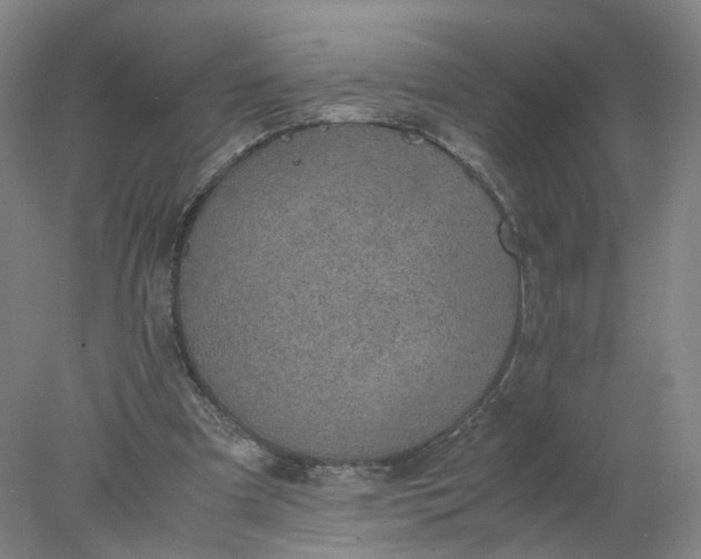 X0000077990297200611101735